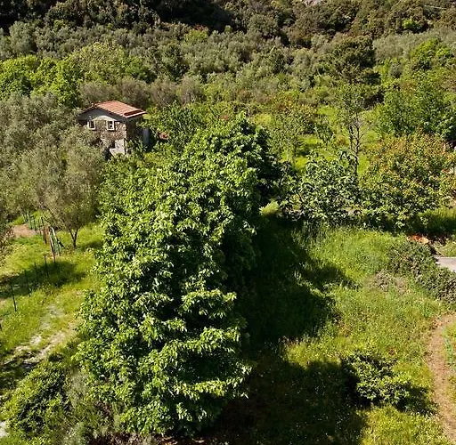 Margherita Vicino A Sestri Levante Per 5 In Ottocentesca Apartmán