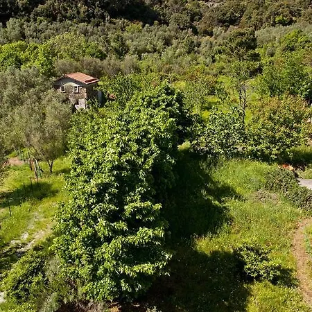 Margherita Vicino A Sestri Levante Per 5 In Ottocentesca Appartement